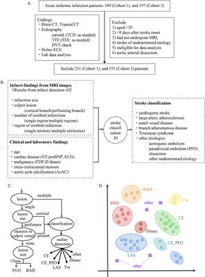 Stroke classification and treatment support system artificial intelligence for usefulness of stroke diagnosis